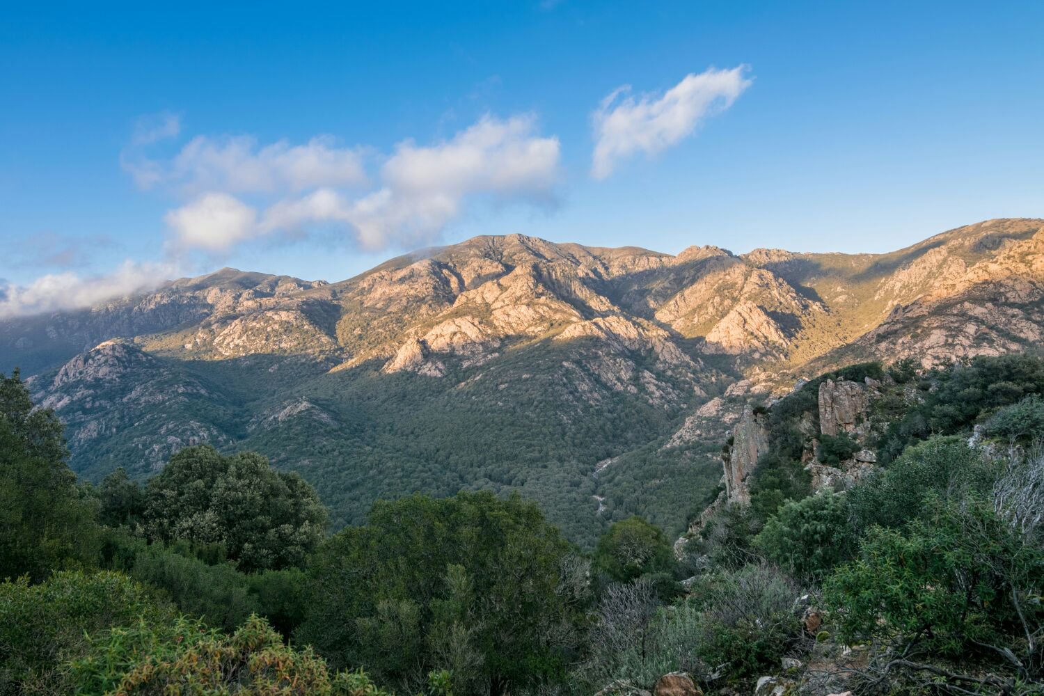 Monte Linas mountain massif in South Sardinia
